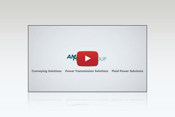 new ammega group video