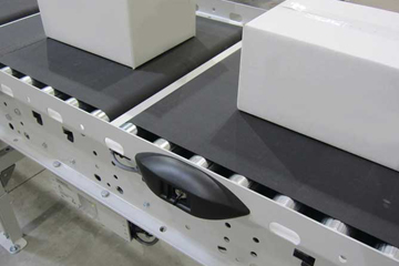 rapplon segmented belt