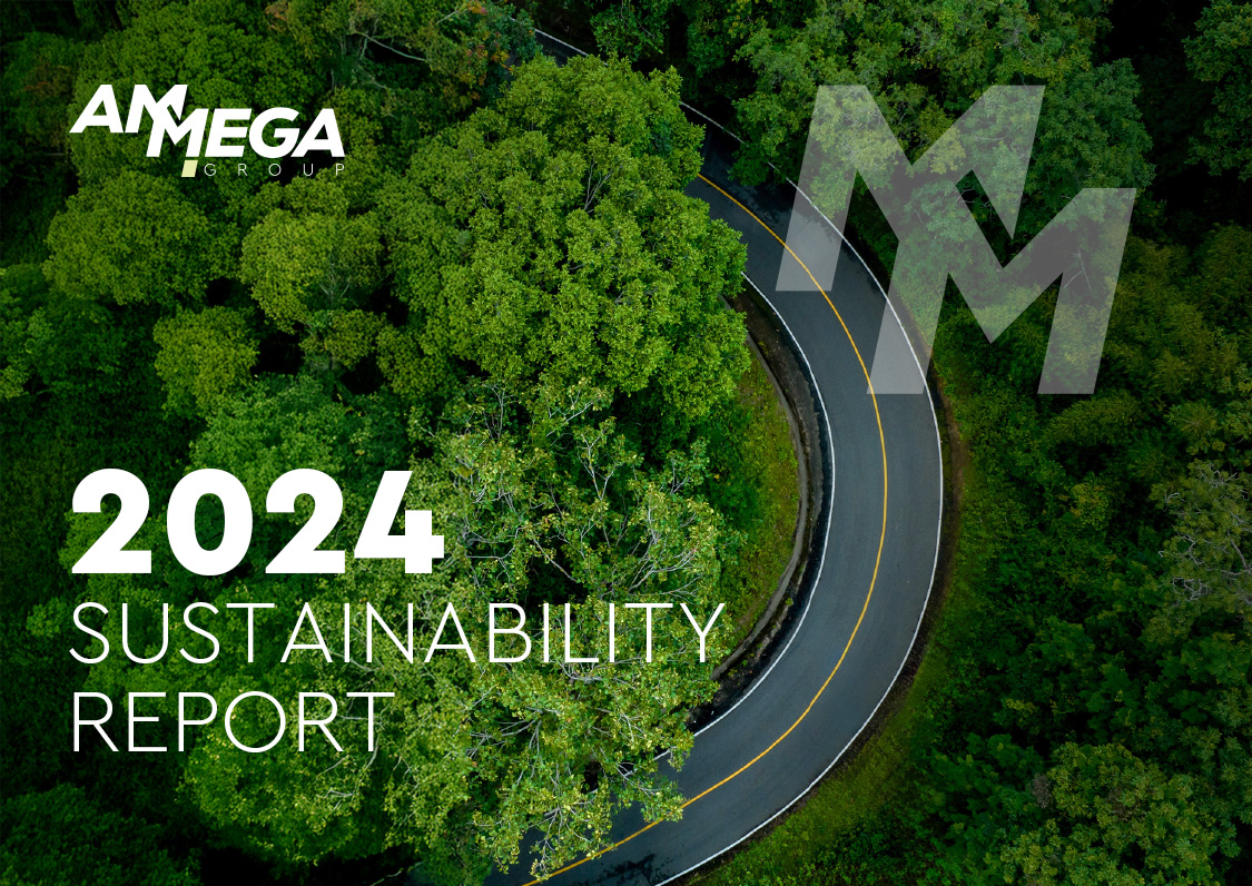 sustainability report ammegacom