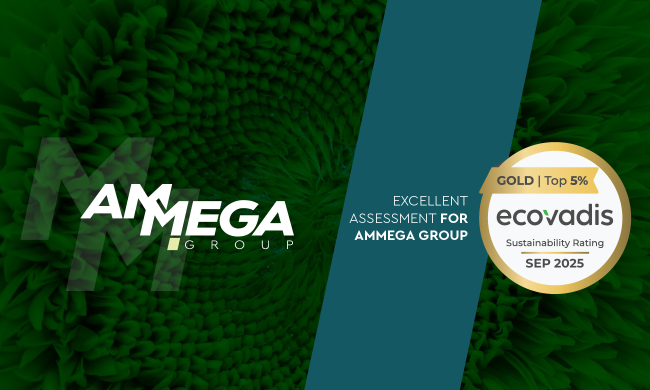 hp banner ecovadis ammega 2025